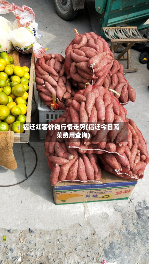 宿迁红薯价钱行情走势(宿迁今日蔬菜费用查询)-第2张图片