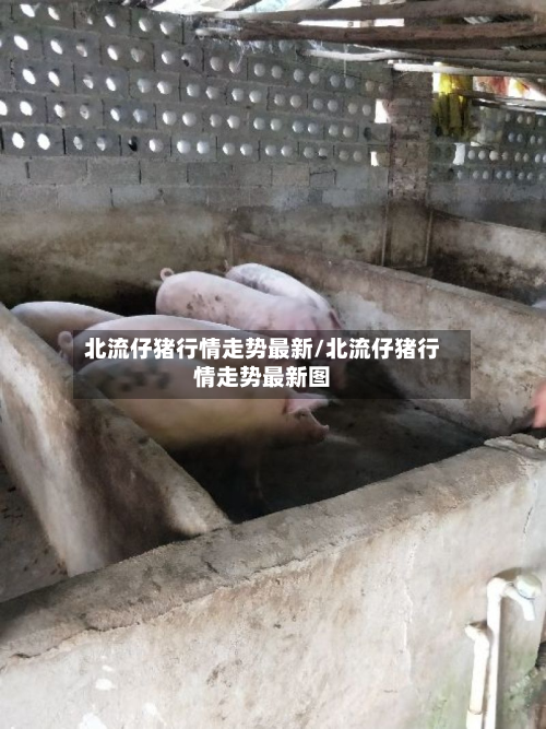 北流仔猪行情走势最新/北流仔猪行情走势最新图