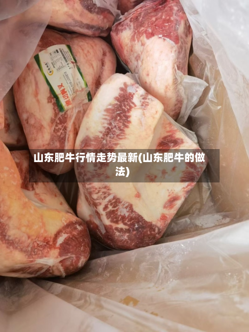 山东肥牛行情走势最新(山东肥牛的做法)-第2张图片