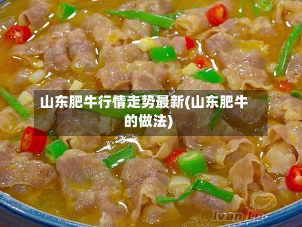 山东肥牛行情走势最新(山东肥牛的做法)