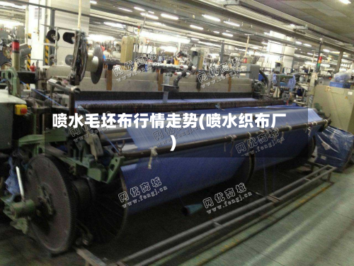 喷水毛坯布行情走势(喷水织布厂)-第2张图片
