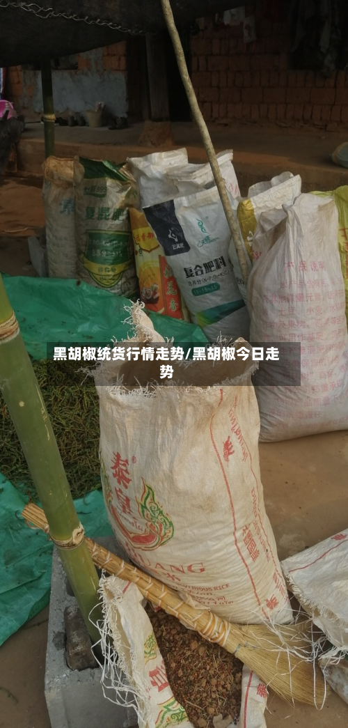 黑胡椒统货行情走势/黑胡椒今日走势-第2张图片