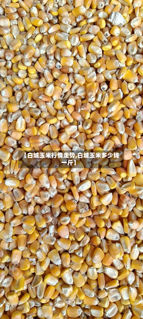 【白城玉米行情走势,白城玉米多少钱一斤】