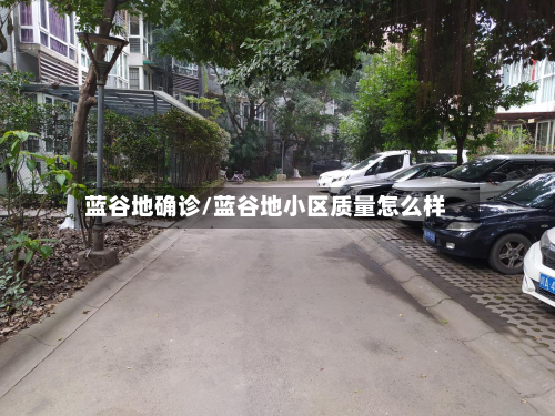 蓝谷地确诊/蓝谷地小区质量怎么样