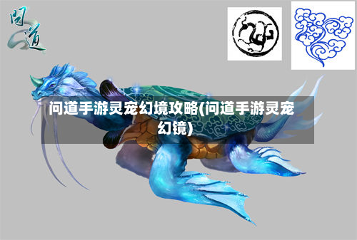 问道手游灵宠幻境攻略(问道手游灵宠幻镜)