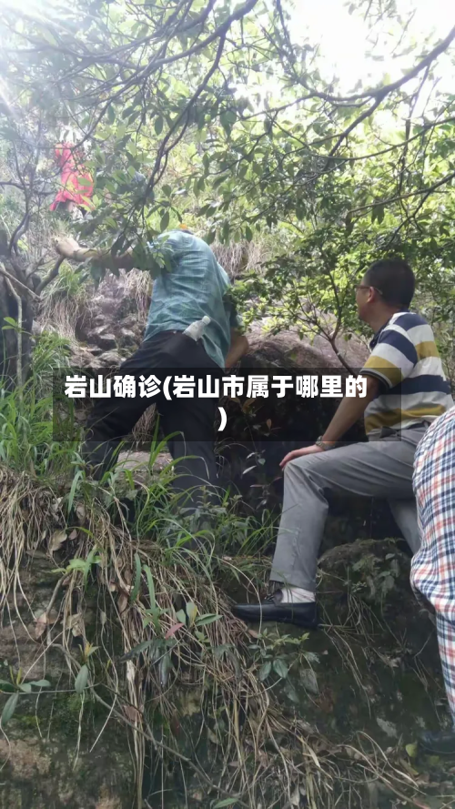岩山确诊(岩山市属于哪里的)-第2张图片
