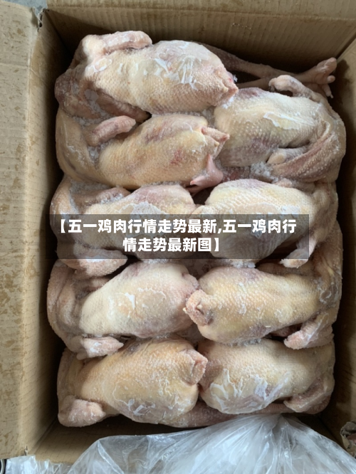 【五一鸡肉行情走势最新,五一鸡肉行情走势最新图】