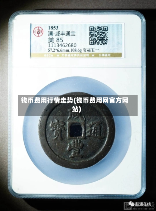 钱币费用行情走势(钱币费用网官方网站)