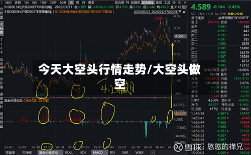今天大空头行情走势/大空头做空-第3张图片