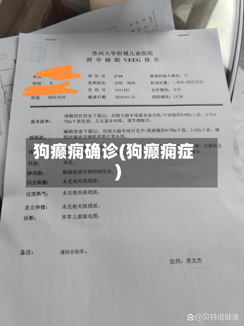 狗癫痫确诊(狗癫痫症)