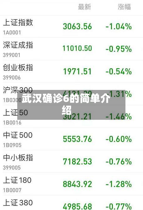 武汉确诊6的简单介绍