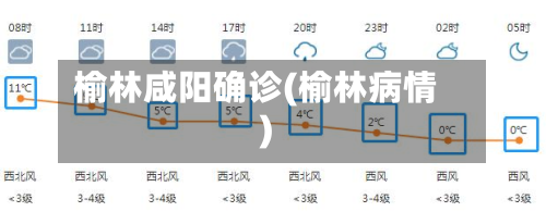 榆林咸阳确诊(榆林病情)