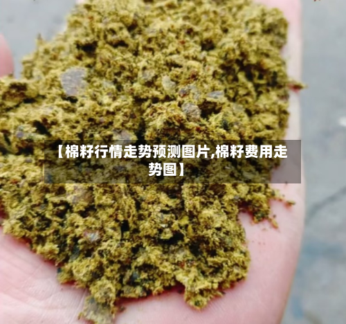 【棉籽行情走势预测图片,棉籽费用走势图】-第2张图片