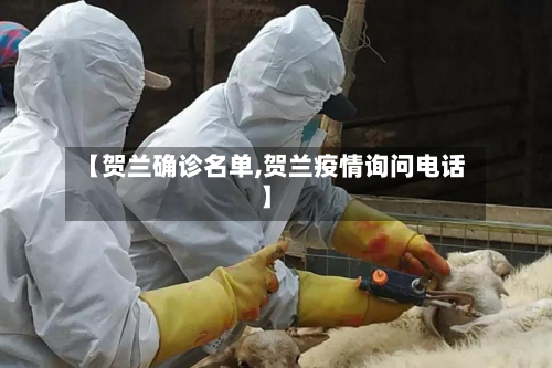 【贺兰确诊名单,贺兰疫情询问电话】-第2张图片