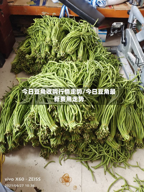 今日豆角收购行情走势/今日豆角最新费用走势