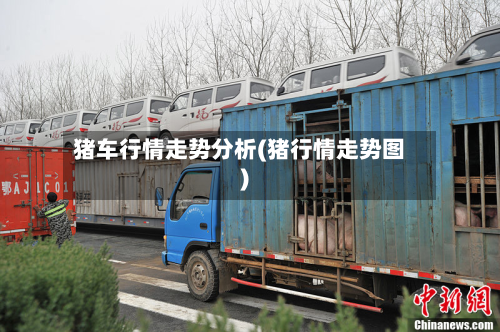 猪车行情走势分析(猪行情走势图)-第2张图片