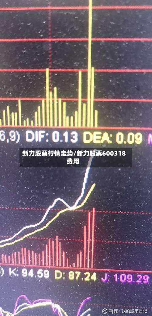 新力股票行情走势/新力股票600318费用-第2张图片
