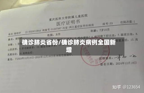 确诊肺炎省份/确诊肺炎病例全国新增-第3张图片
