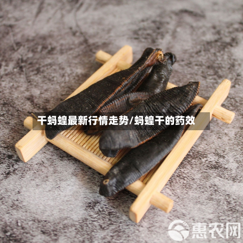 干蚂蝗最新行情走势/蚂蝗干的药效