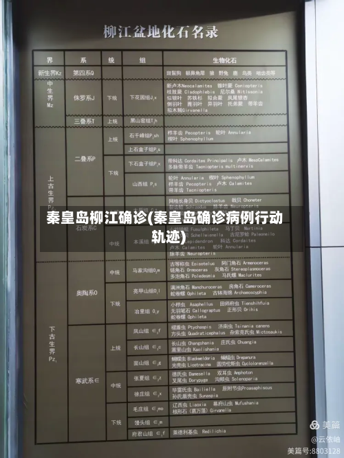 秦皇岛柳江确诊(秦皇岛确诊病例行动轨迹)-第2张图片