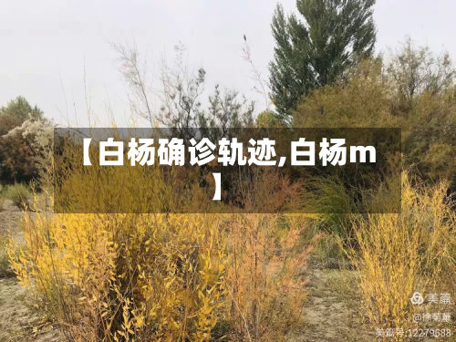 【白杨确诊轨迹,白杨m】