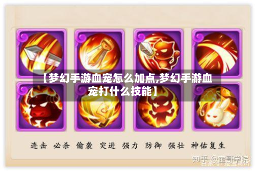 【梦幻手游血宠怎么加点,梦幻手游血宠打什么技能】-第3张图片