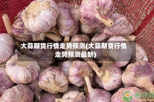 大蒜期货行情走势预测(大蒜期货行情走势预测最新)