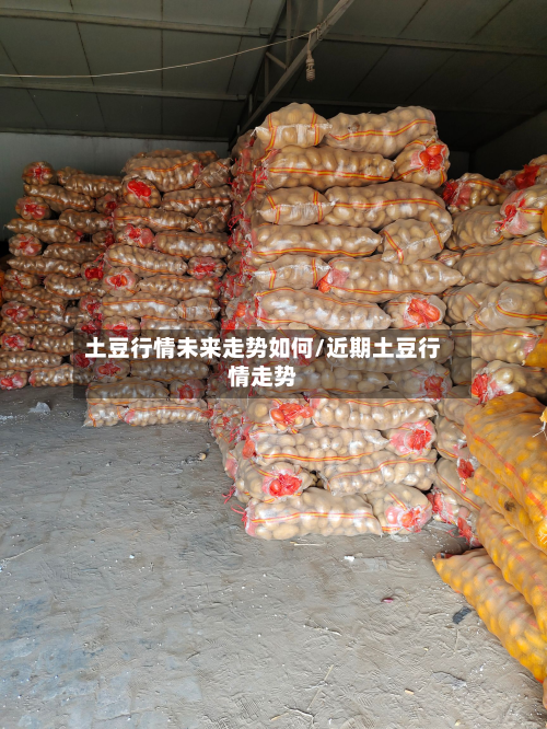 土豆行情未来走势如何/近期土豆行情走势