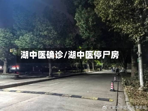 湖中医确诊/湖中医停尸房