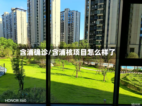 含浦确诊/含浦核项目怎么样了-第2张图片