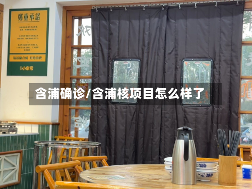含浦确诊/含浦核项目怎么样了