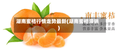 湖南蜜桔行情走势最新(湖南蜜桔滞销)