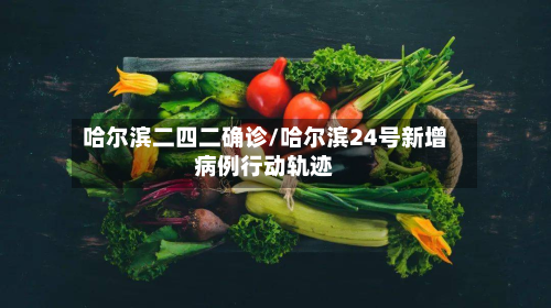 哈尔滨二四二确诊/哈尔滨24号新增病例行动轨迹-第3张图片