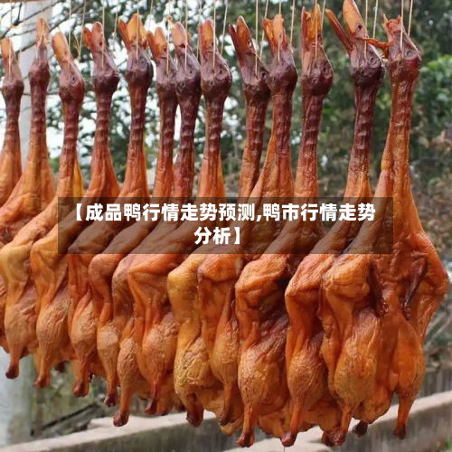 【成品鸭行情走势预测,鸭市行情走势分析】