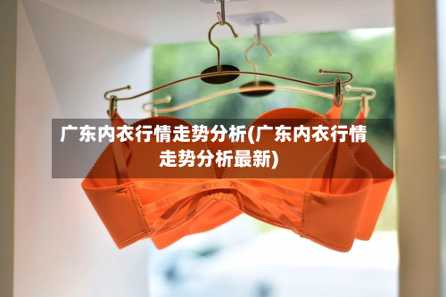 广东内衣行情走势分析(广东内衣行情走势分析最新)