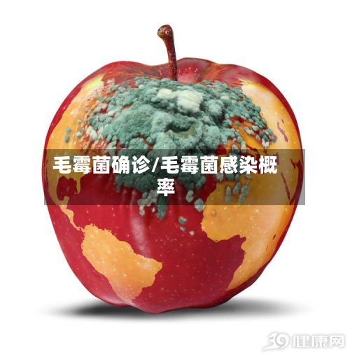毛霉菌确诊/毛霉菌感染概率-第3张图片