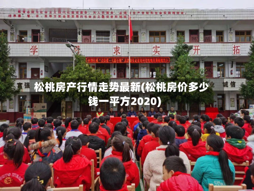 松桃房产行情走势最新(松桃房价多少钱一平方2020)