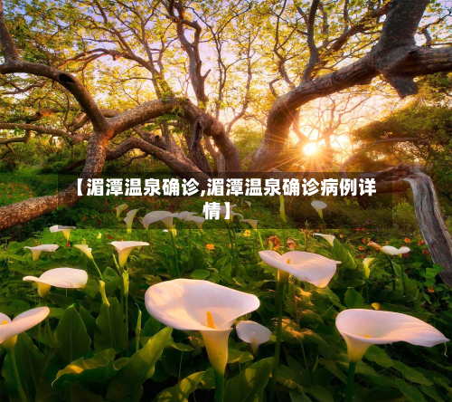 【湄潭温泉确诊,湄潭温泉确诊病例详情】-第2张图片
