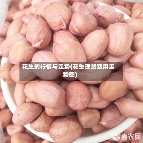 花生的行情与走势(花生现货费用走势图)