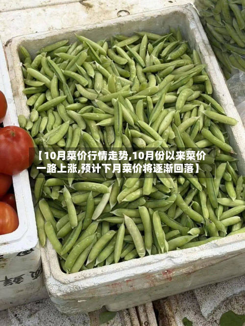 【10月菜价行情走势,10月份以来菜价一路上涨,预计下月菜价将逐渐回落】-第2张图片