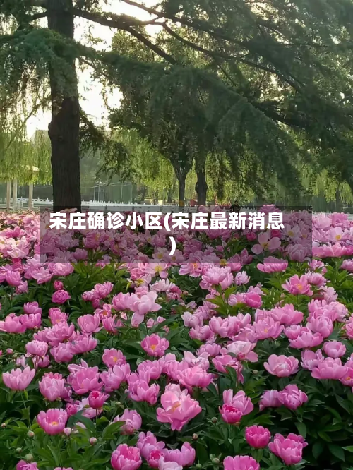 宋庄确诊小区(宋庄最新消息)