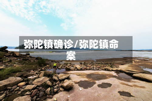 弥陀镇确诊/弥陀镇命案