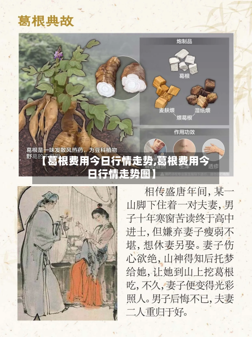 【葛根费用今日行情走势,葛根费用今日行情走势图】-第2张图片