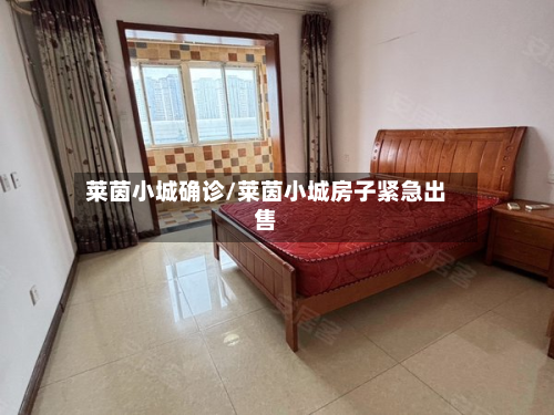莱茵小城确诊/莱茵小城房子紧急出售-第2张图片