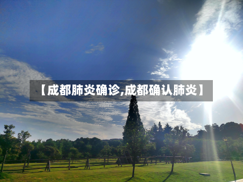 【成都肺炎确诊,成都确认肺炎】-第2张图片