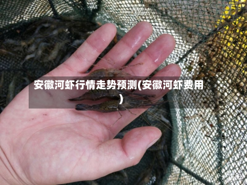 安徽河虾行情走势预测(安徽河虾费用)-第3张图片