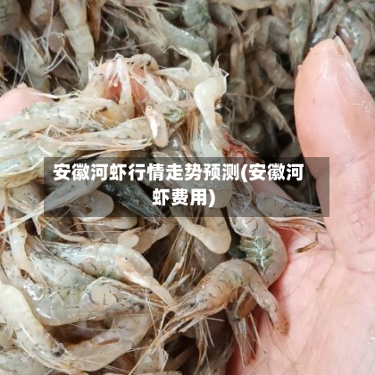 安徽河虾行情走势预测(安徽河虾费用)-第2张图片