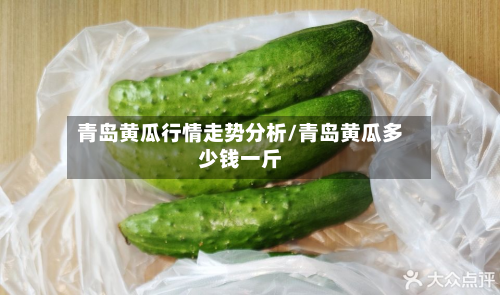 青岛黄瓜行情走势分析/青岛黄瓜多少钱一斤