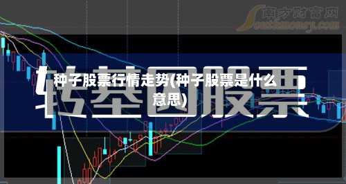 种子股票行情走势(种子股票是什么意思)