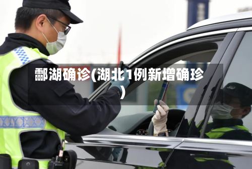 酃湖确诊(湖北1例新增确珍)-第3张图片